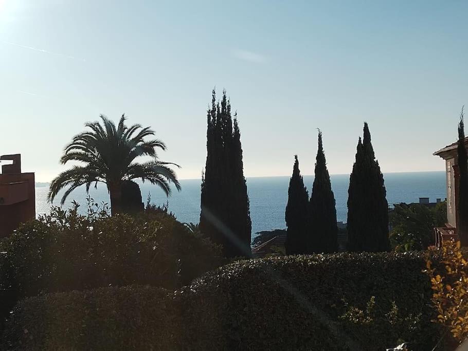 Residence De Luxe Sun Paradis, Studio Terrasse, Vue Mer Piscine Cannes Exterior photo